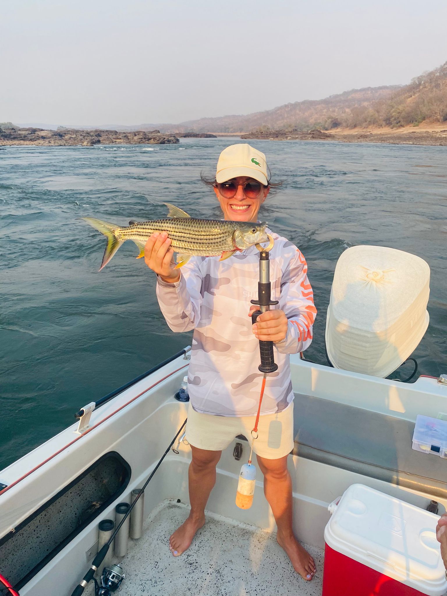 Tiger Fish — Golden Hour