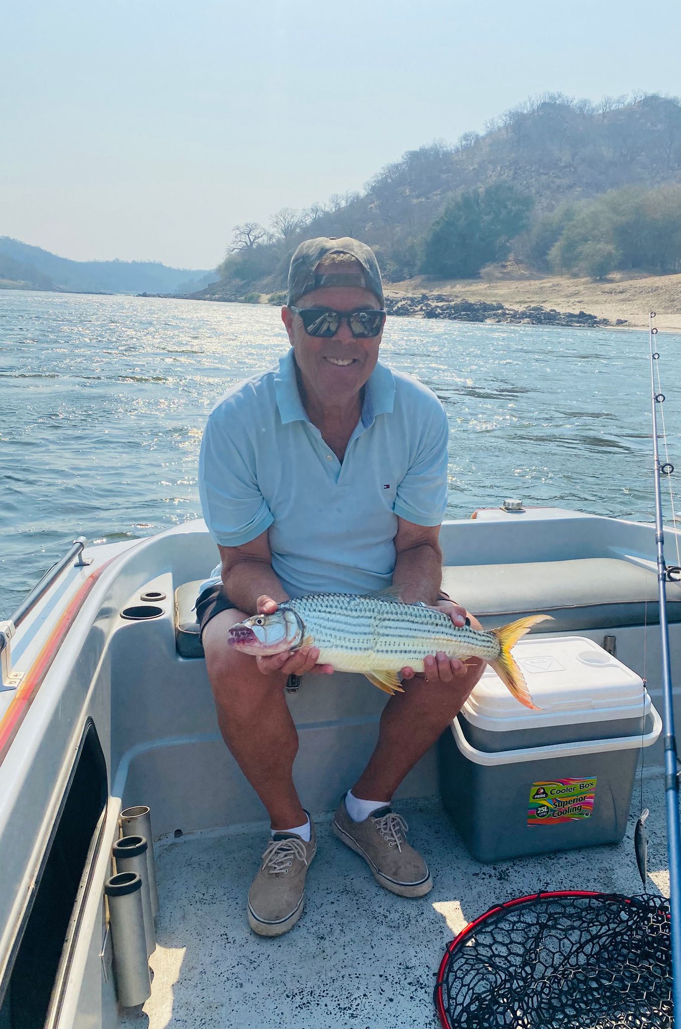 Tiger Fish — The Rapids